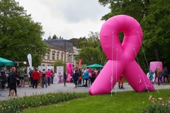Pink_Ribbon_23©_holnsteiner_157_kl-0157