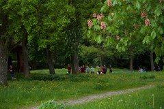 Pink_Ribbon_23©_holnsteiner_161_kl-0161