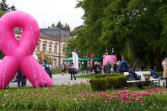 Pink_Ribbon_23©_holnsteiner_162_kl-0162