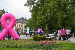Pink_Ribbon_23©_holnsteiner_163_kl-0163