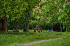 Pink_Ribbon_23©_holnsteiner_164_kl-0164