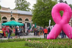 Pink_Ribbon_23©_holnsteiner_165_kl-0165
