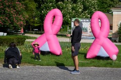 Pink Ribbon 24© holnsteiner 007 kl