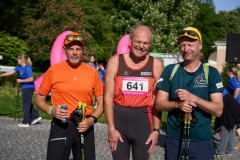 Pink Ribbon 24© holnsteiner 008 kl