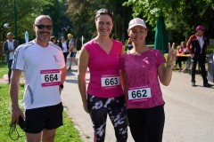 Pink Ribbon 24© holnsteiner 026 kl