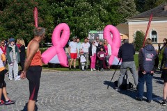 Pink-Ribbon-25-©-holnsteiner-010-kl